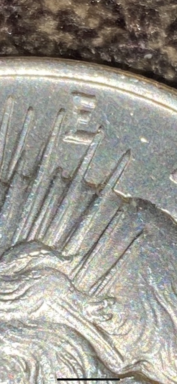 Help-Grading-This-1923-Peace-Dollar.